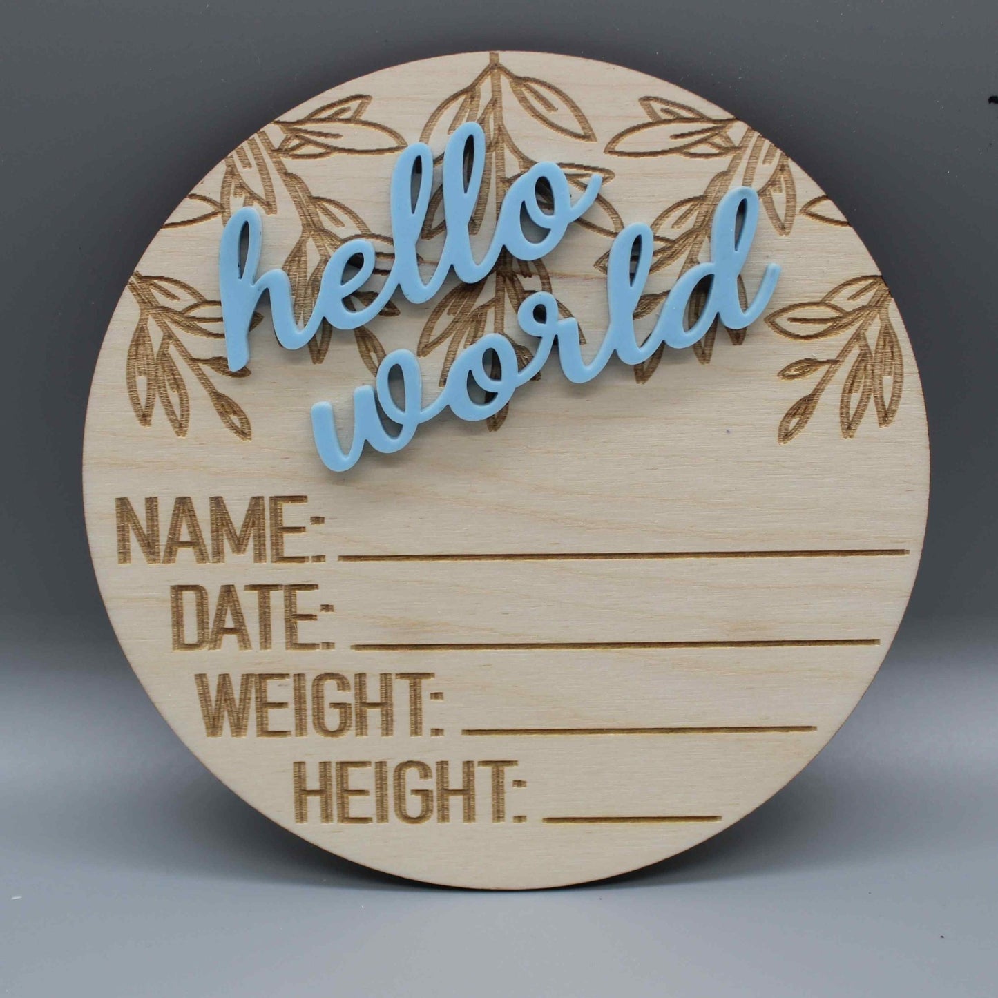 Hello World Birth Announcement Disc - Haisley Design