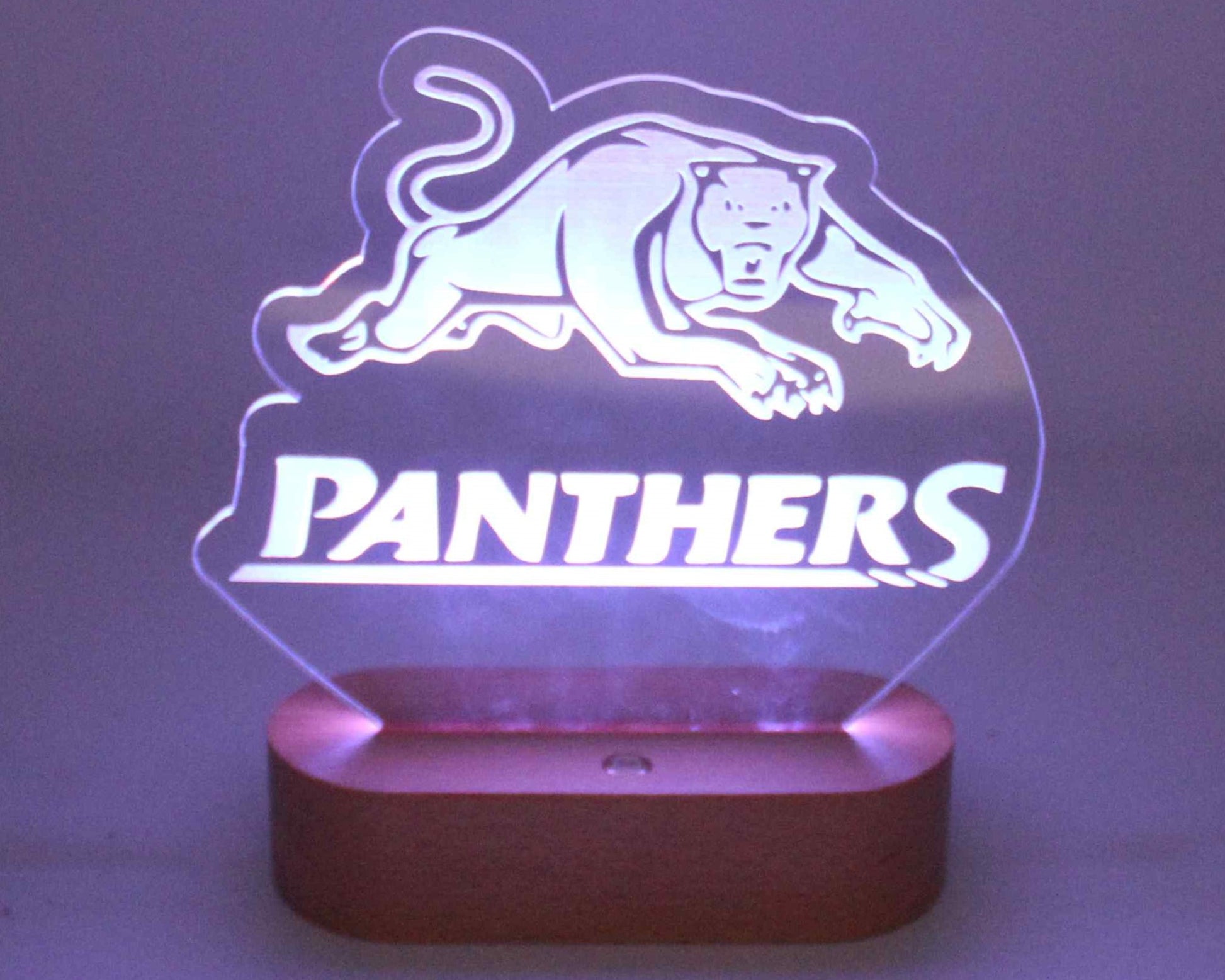 NRL Display Night Light Panthers - Haisley Design