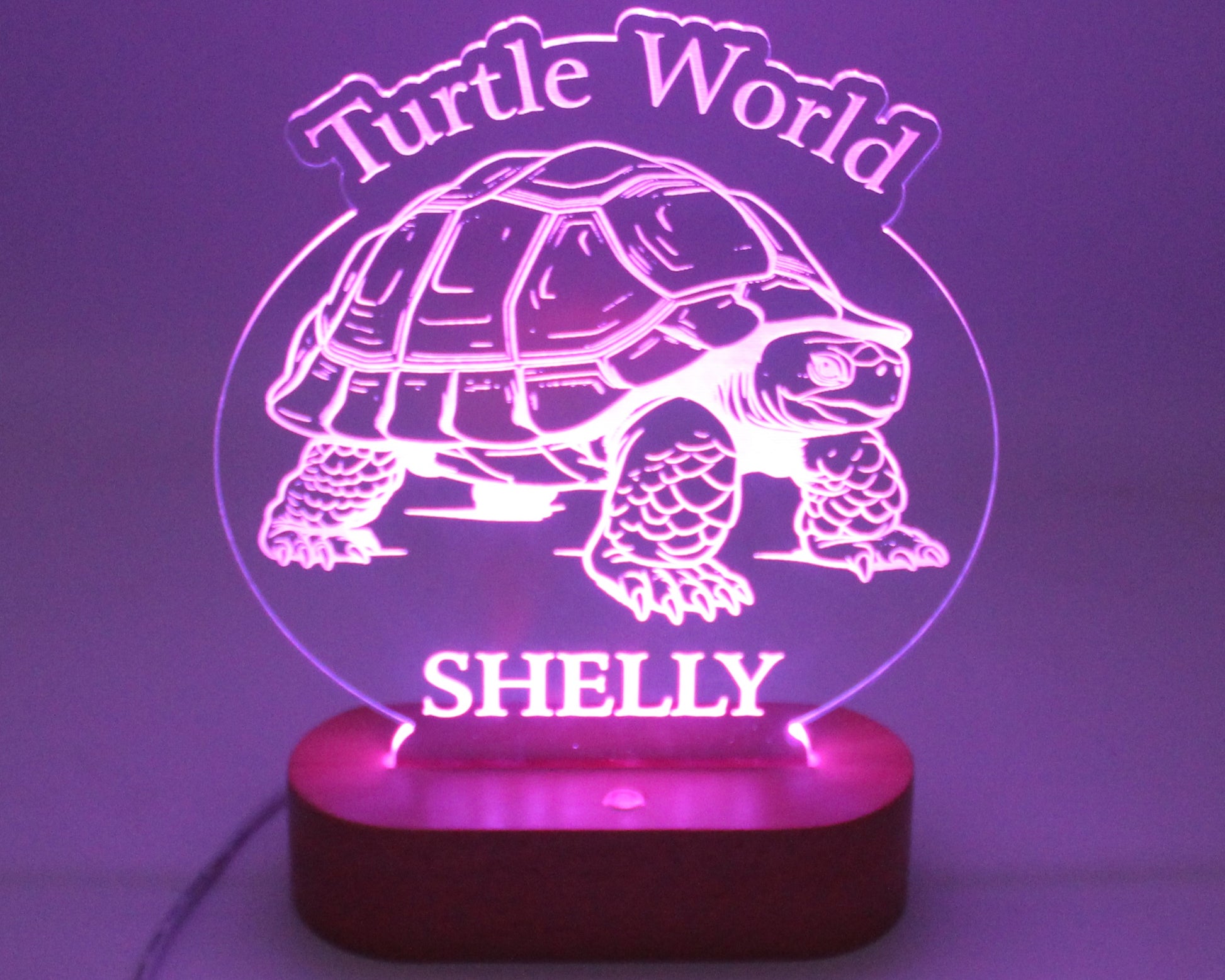 Turtle Night Light Personalised - Haisley Design