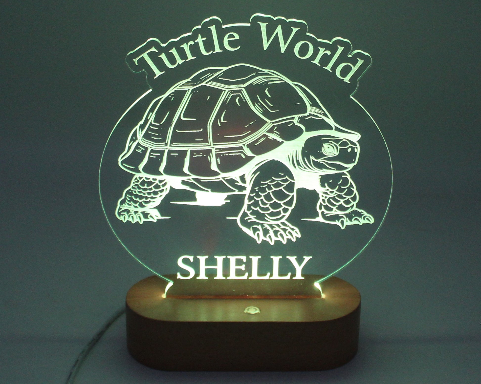 Turtle Night Light Personalised - Haisley Design