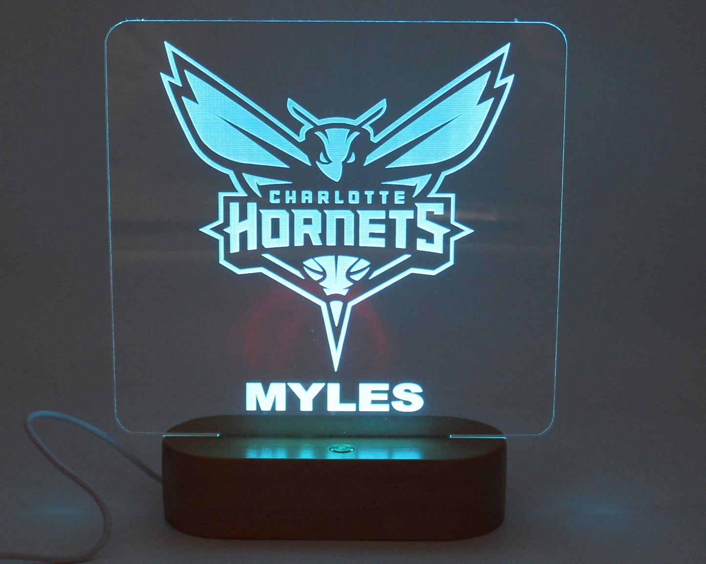 Charlotte Hornets Personalised Display Light - Haisley Design