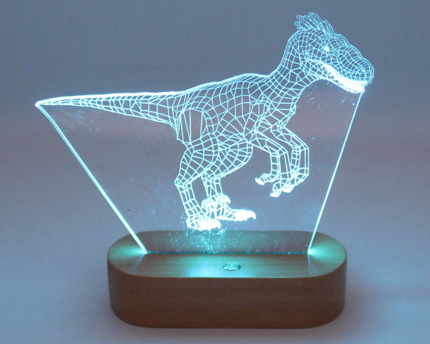 Dinosaur 3D Illusion Night Light - Haisley Design