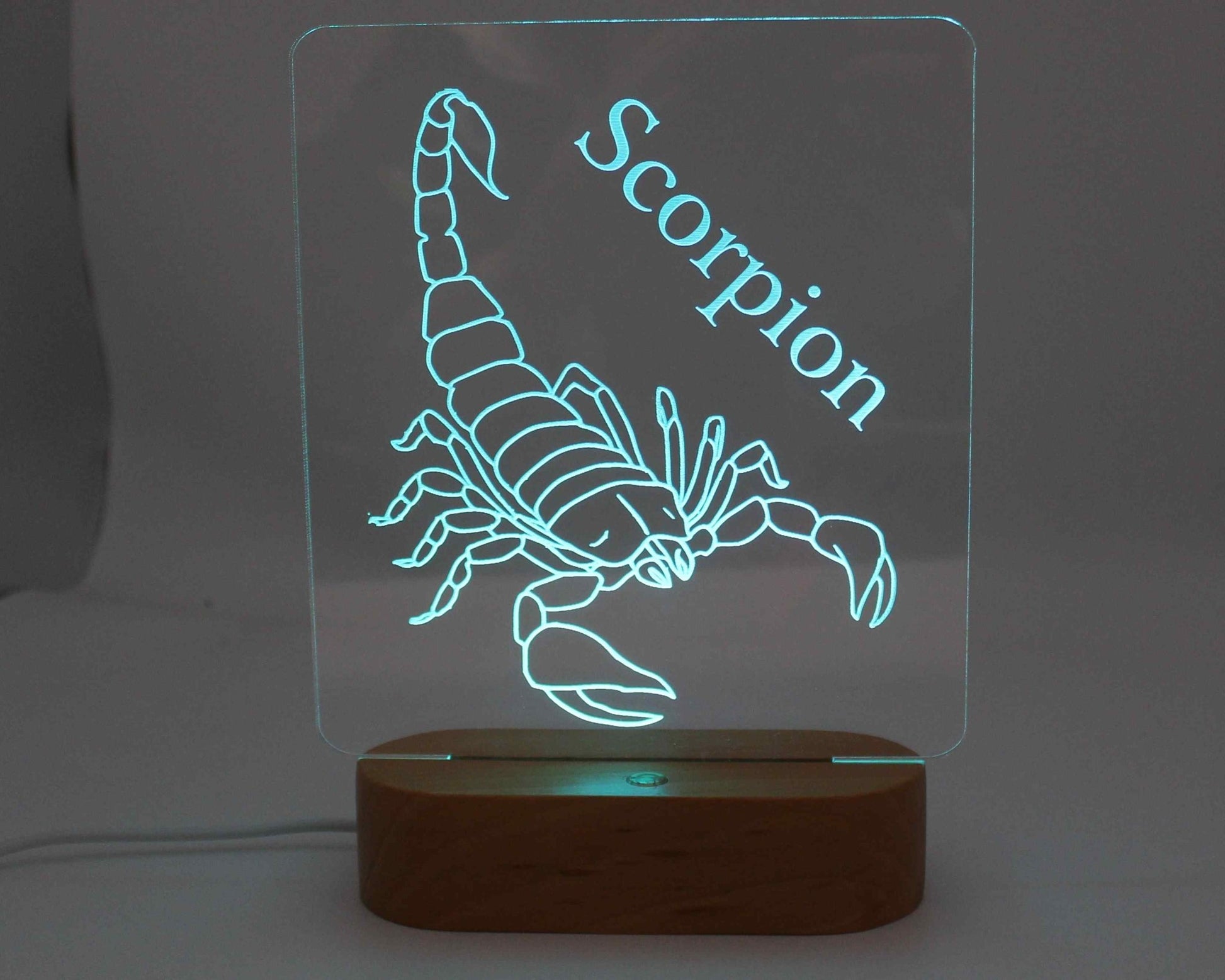 Scorpion Night Light - Haisley Design